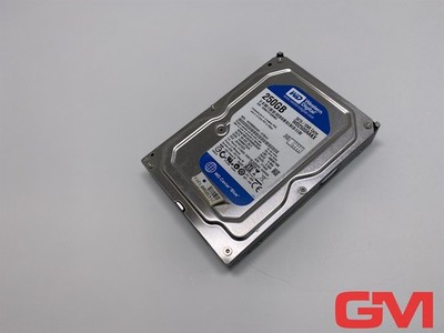 Western Digital Festplatte WD2500AAKX Hard Disk Drive SATA 250GB Caviar Blue