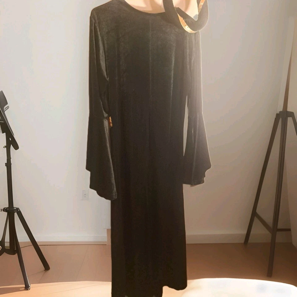 Guinevere Princess Green  Costume Gown & Headpiece California Costume Adult M  - Image 4 of 4