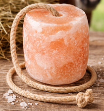 Himalayan Salt Lick Block on Rope 5 lbs Natural Horse Salt Lick Mineral Block