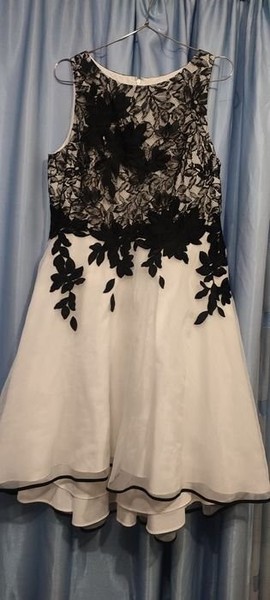 Women Dress White Chiffon 40