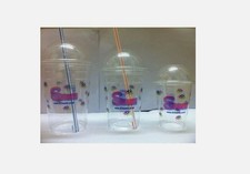 Slush Printed Milkshake Cup+Lids 7oz 10oz 12oz 16oz Reusable SLUSH CUPS