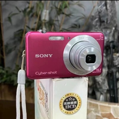 SONY Cyber-shot DSC-W710 Pink 5x Zoom Digital Camera