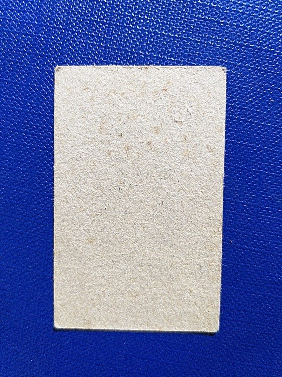 Foto 2 di 2