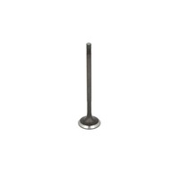 Einlassventil Freccia R6799/SNT