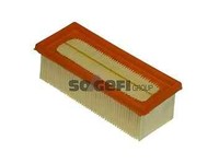 Purflux A1123 Luftfilter FüR Kubistar Clio Kangoo Express Thalia Twingo 1.0 1.2