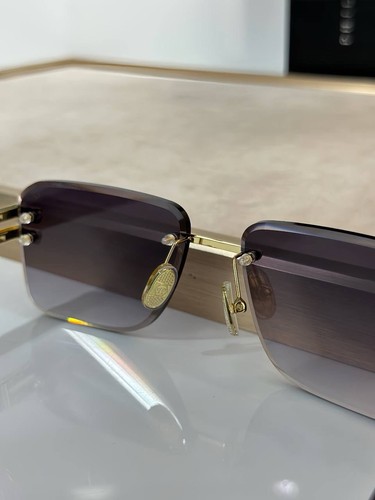 Gafas de sol para hombre PHILIPP PLEIN - Modelo 59-17 145 - Gafas llamativas de lujo - Imagen 5 de 6