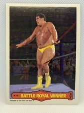 1985 O-Pee-Chee WWF Pro Wrestling Stars Trading Cards 19