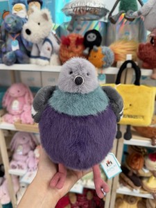 Leicester Pigeon | eBay