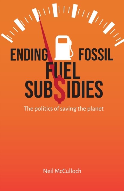Ending Fossil Fuel Subsidies by Neil McCulloch - - Image 4