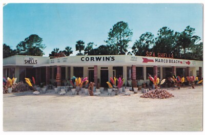 Post Card Corwin Shell Royal Palm Hammock Florida