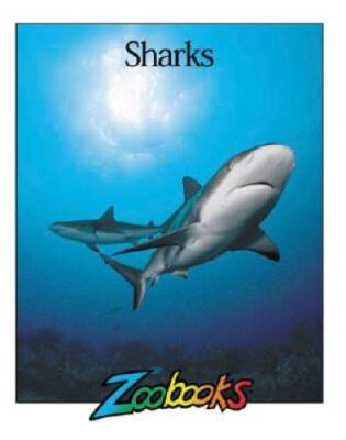 Sharks (Zoobooks Series) - Library Binding By Wexo, John B - GOOD