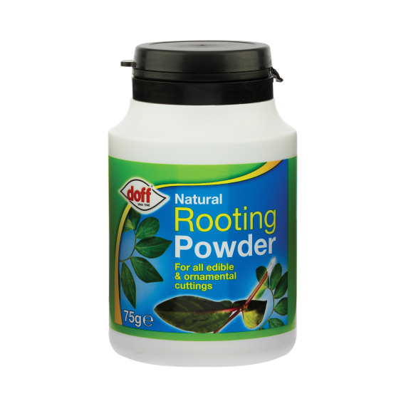 Doff 75g Natural Rooting Powder for Edible and Ornamental Cuttings