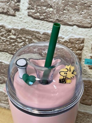 Starbucks Japan Peanuts Snoopy 2025 Stainless Steel Cold Cup