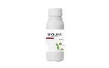 Box Of Celsius WG 10oz