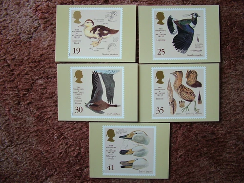 PHQ Cards set FDI Back No 177 Wildfowl Trust, 1996. 5 card set.  Mint Condition.