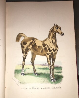 ABC de Sportsman. Robes et Marques / Conformations, Tares, Vices, Redhibitoires / Les Races. von PINEL, Honore. | Harrison-Hiett Rare Books