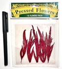 Pressed Flowers Leaves Scrapbooking Embellish Card