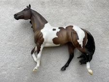Breyer Horse Collector Club Web SR #712181 Gideon Bay Pinto Smart Chic Olena