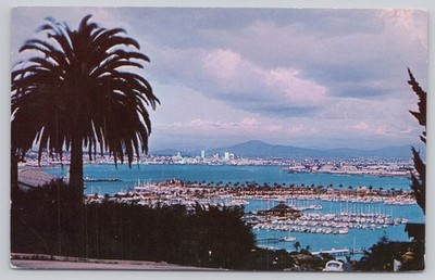 Vintage SAN DIEGO CA Point Loma View Marina Skyline Palm Tree Postcard Chrome