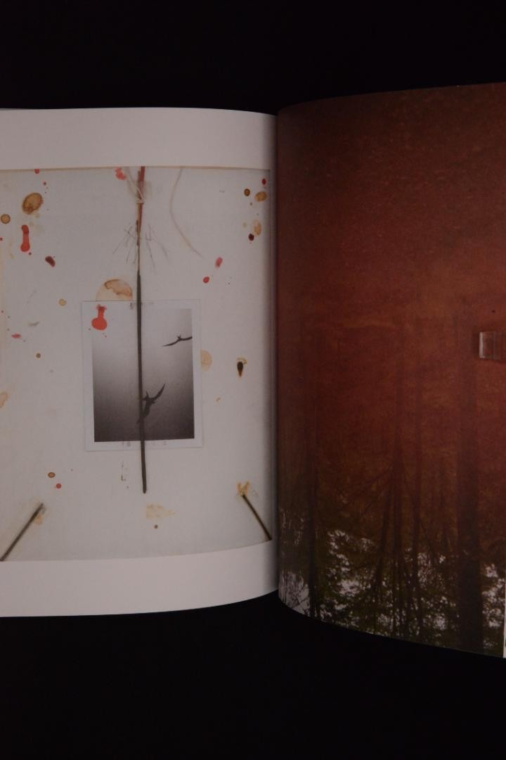 【Mark Borthwick: If We're Pioneer's】 Mark Borthwick - If We are Pioneers - 2009