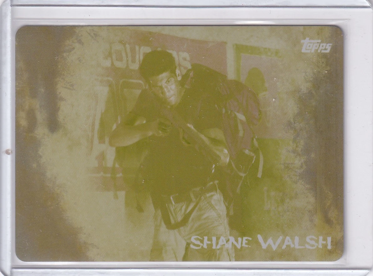 25+ The Walking Dead Collectable Trading Card Printing Plate for