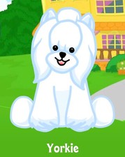 Webkinz Classic Yorkie - hm070 - Virtual Adoption Code Only