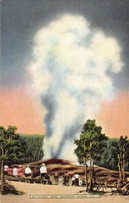 Postcard WY: Old Faithful Geyser, Yellowstone NP, Wyoming, Linen, Unposted