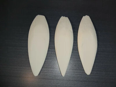 3 Sepiaschalen, ca. 10 - 12 cm / 1A TOP Qualität / Vögel, Sepiaschale, Sepia