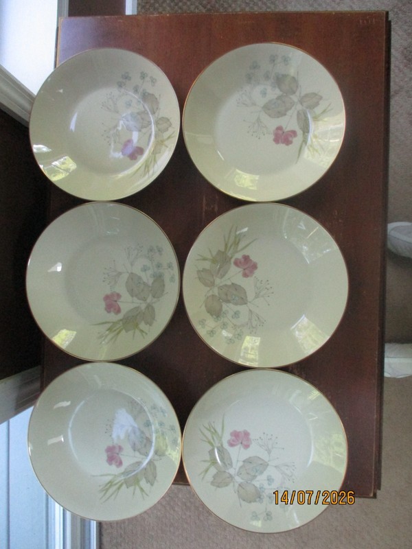 6 - MCM Rosenthal Parisian Spring Ivory Bettina Salad Bowls 8 1/2"