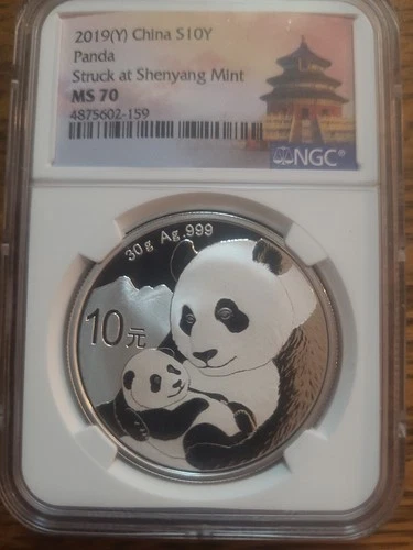 2019 China 10Y 999 Silver Panda MS70 NGC