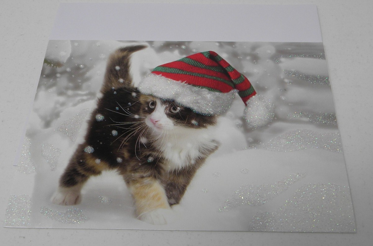 14cnt Kitten Cat Christmas Cards w/Glitter | eBay