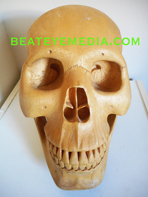 SKULL ORIG ART-SCULTURE-CARVING-MASK-MASKS-TRIBAL-TATTOO-HUMAN SKULL-ANATOMY