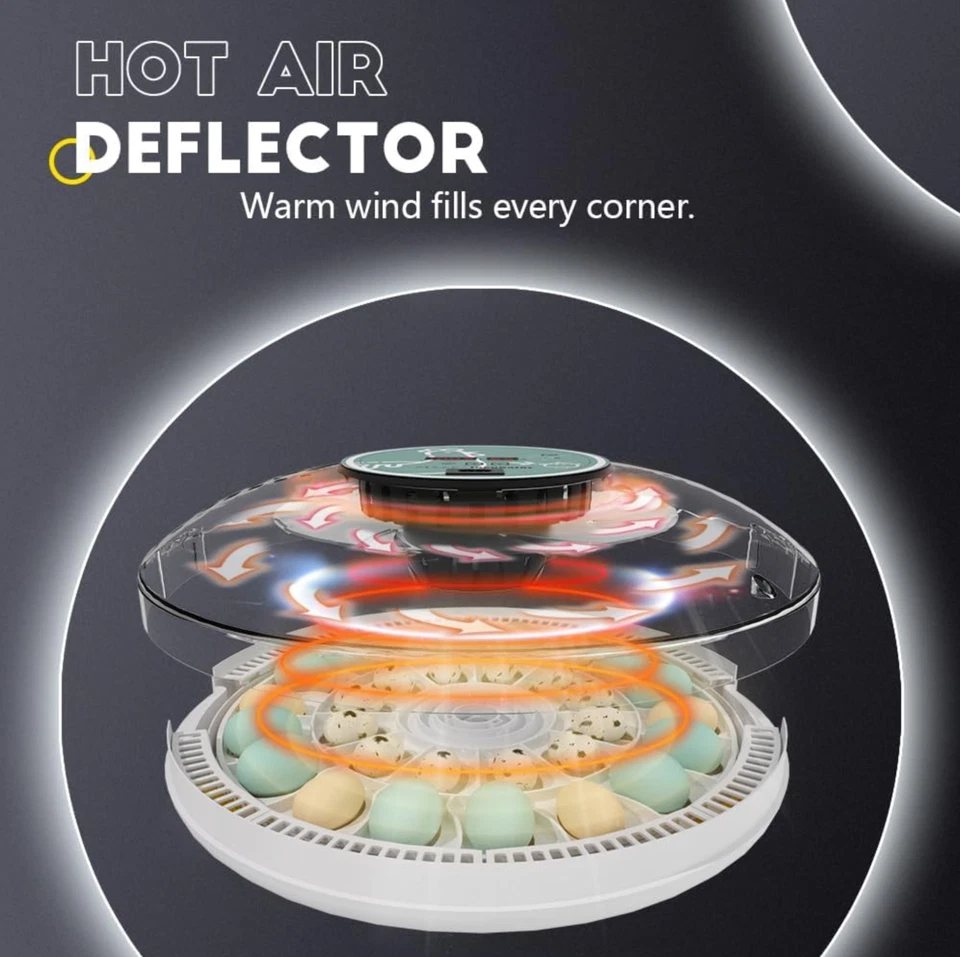 Incubadoras MeeF para incubar huevos incubadora automática de 30 huevos con tur Foto 4 de 4