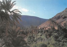MOROCCO TODGHA