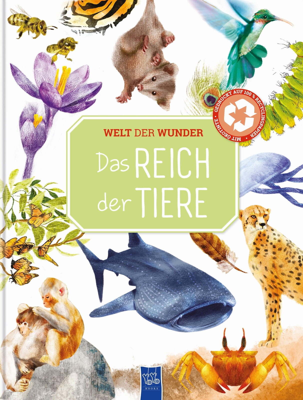 Thumbnail - Welt Der Wunder - Reich Der Tiere
