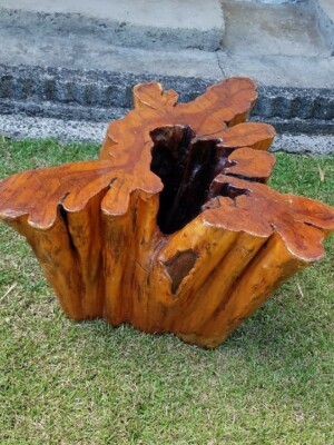Old Cypress Tree Trunk Coffee Table Ebay