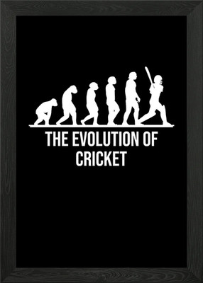 Evolution Cricket Spieler gerahmtes Wandbild Poster Leinwanddruck Bild