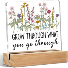 Inspirational Gifts for Women Acrylic Sign Decor Motivational Quote Home Office