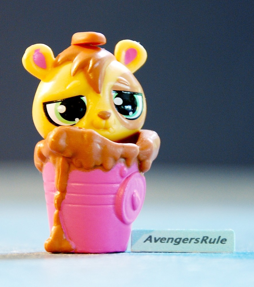 Littlest Pet Shop Cozy Snackers Series 3 #3990 Bear Yellow Brown