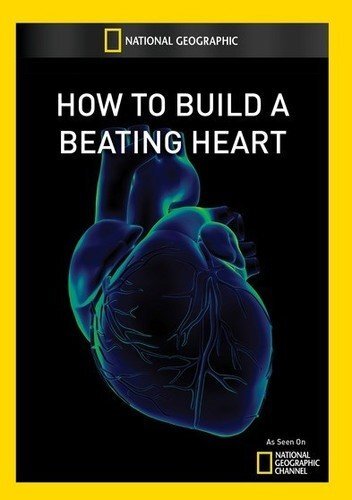 How to Build a Beating Heart (DVD)