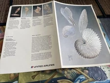 United Airlines 80s?  first class menu w/nautilus shell design