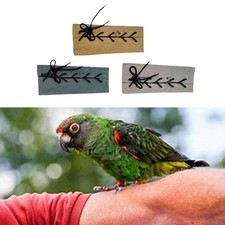 Armschutz Papagei Armschutz Anti-Biss verstellbare Träger Papagei Armpolster Vogel