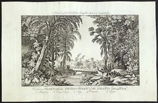 Asiatic Islands Vegetable Production from Middletons Geography 1777