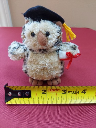 Graduation Owl Gift High School Middle School Kindergarten College PHD - Picture 5 of 8