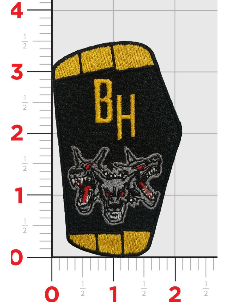 NAVY VX-30 BLOODHOUNDS E-2 HAWKEYE EMBROIDERED PATCH HOOK LOOP BACK