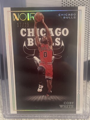 Coby White - 2020-21 Panini Noir Holo Silver Icon Edition /25 - Bulls