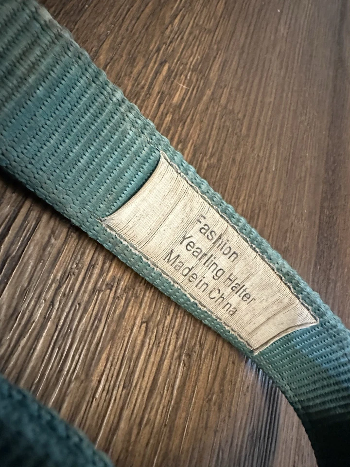 Horse Tack - Soporte de nailon verde azulado BMB Foto 2 de 4