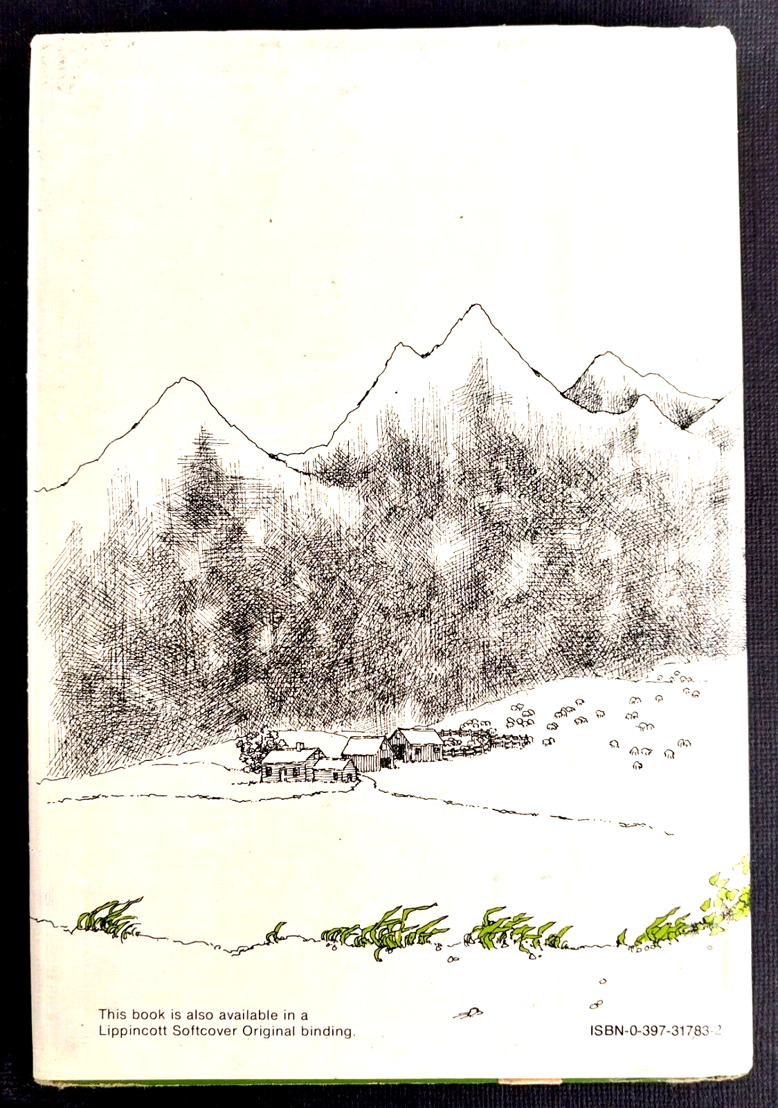 Foto 2 di 4