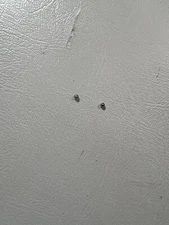 LURACO   40K Nail Drill Handpiece Cam Balls