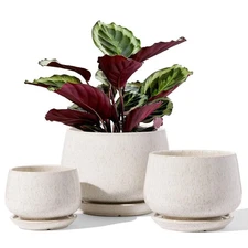 Plant Pots, 4.1+5.1+6.5 inch, Set of 3, Ceramic Planters with Drainage Hole a...